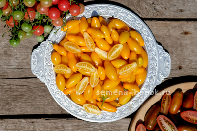 Томат Borghese Vase Roman (Римская Ваза Боргезе), 10 шт