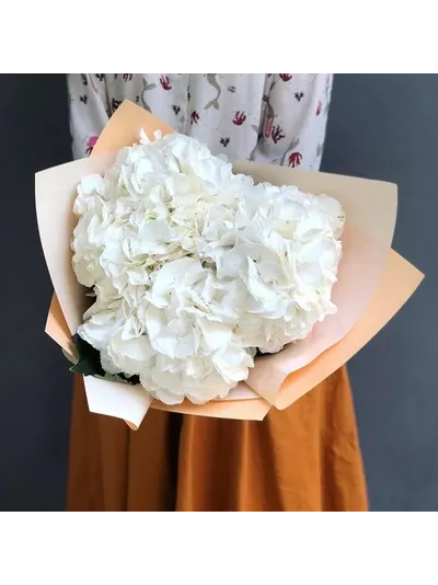 Букет из гортензии "Dreams"