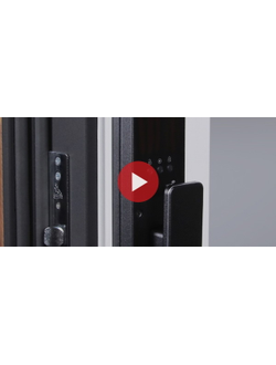 Стальная дверь   Plata с зеркалом (биометрический замок Smart lock Y23)