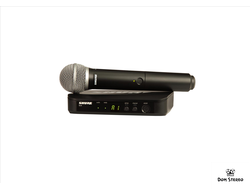 фото SHURE BLX24E/PG58