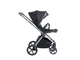 Коляска прогулочная и автокресло Sweet Baby Elegante BRD Black