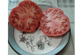 Альбенга, плод в разрезе