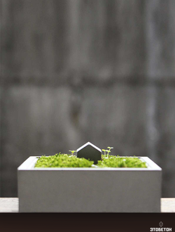 Мини клумба настольная