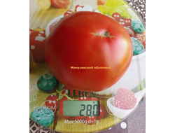 Томат Минусинские яблочные