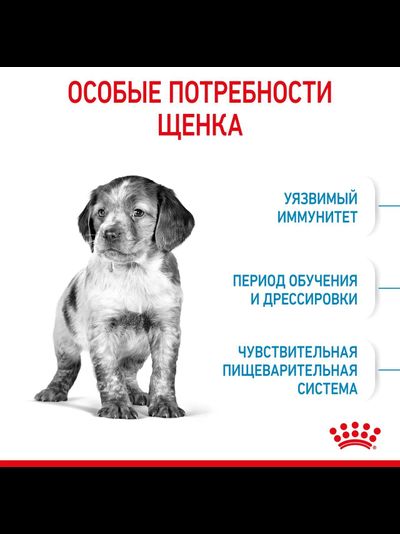 Royal Canin (Роял Канин) Medium Puppy Сухой корм для щенков средних пород собак, 14 кг