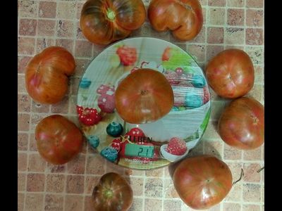 Томат Кровавая Луна (Blood Moon, США)