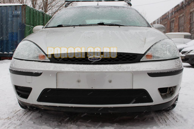 Защита радиатора Ford Focus I рестайлинг 2003-2005 black