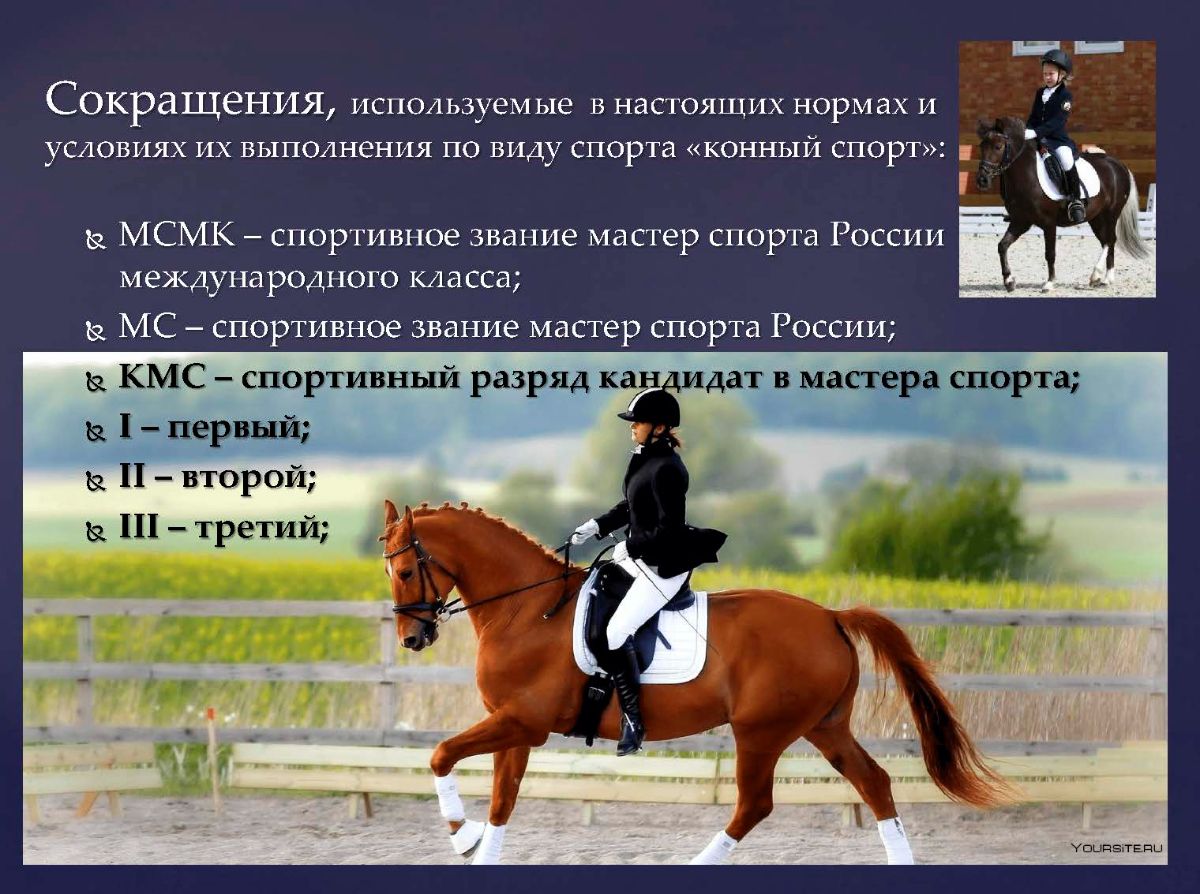 Конный спорт презентация. Какой вид спорта не относится к конному. Конный спорт кратко. Конный спорт статусы. К какому виду спорта относится термин "двойной тулуп"?.