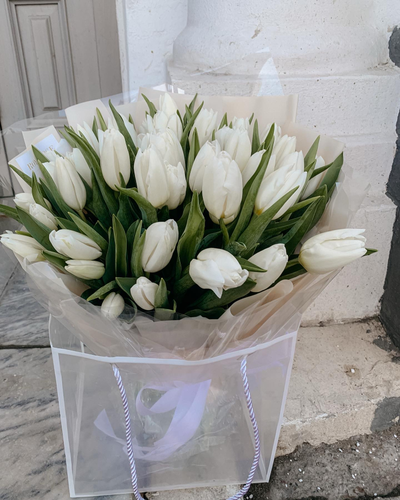 Белые тюльпаны Moon light 35 шт