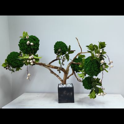 Живая эко-композиция 1006