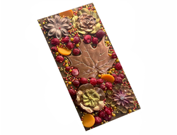 Шоколадная плитка Бельгийский шоколад 160 грамм Осенняя композиция №2