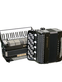 Аккордеоны, баяны, гармони