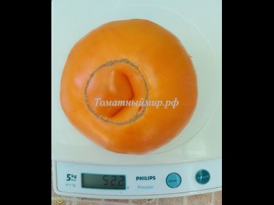 Томат Большой золотой вкусный (Big Golden Delicious)