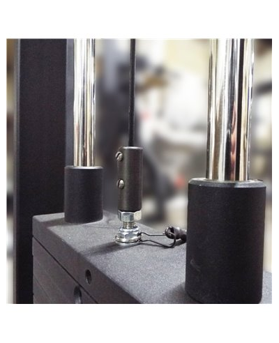 Торс машина 60 кг AV221/80