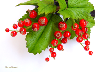 Краб с красной смородиной.