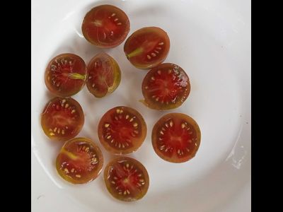 Томат Черри Фиолетовый сахар Рейнхарда (Reinhards Purple Sugar)