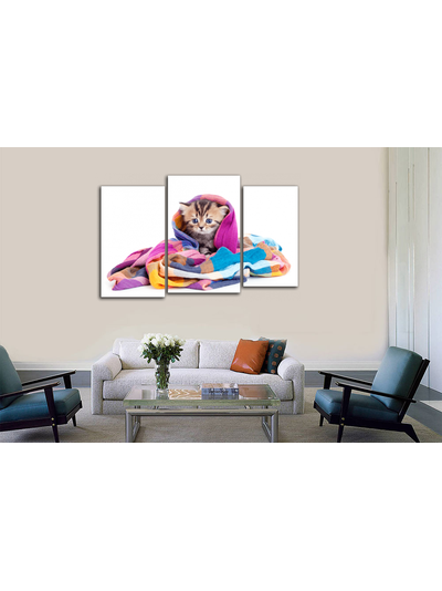 Модульная картина "Котенок в шали"
