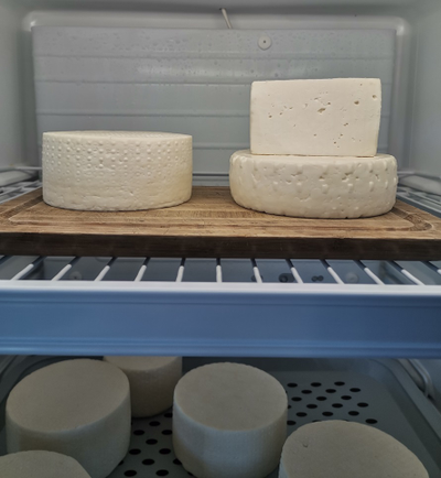 Робиола итальянский мягкий сыр из козьего молока | ферма СытникЪ