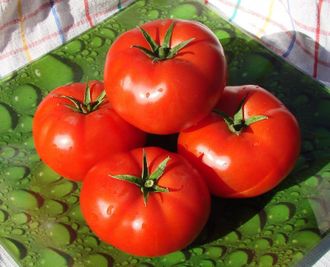 семена томат "Джина"