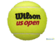 Теннисные мячи Wilson US Open Extra Duty x3