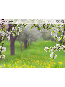 Фотофон виниловый «Яблоневый сад»