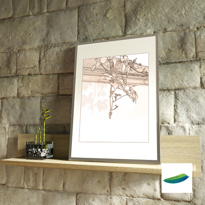 Постер  «Ветка дикого винограда»