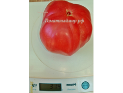 Томат Пандероза розовый Хендерсона (Henderson's Pink Ponderosa)