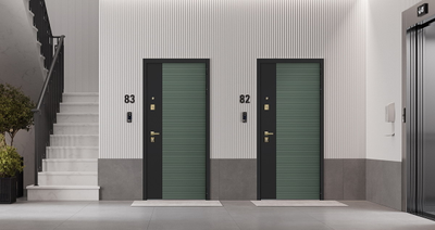 Стальная дверь   Сингапур с зеркалом. Заказная модель.