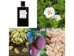 Van Cleef & Arpels Collection Extraordinaire Orchid Leather