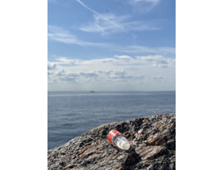 Масло НОТА: ЖЕНСКОЕ ПРИСУТСТВИЕ, 2.5 мл