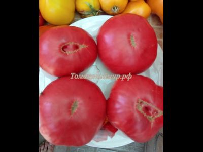 Томат Микадо розовый