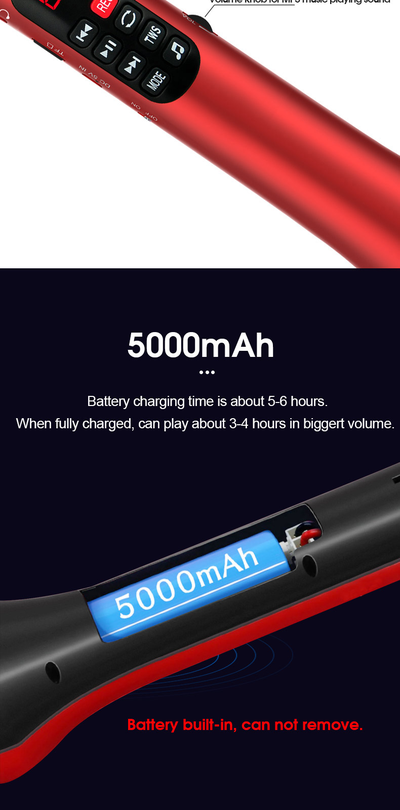 Профессиональный   караоке-микрофон      L-1038DSP  25w