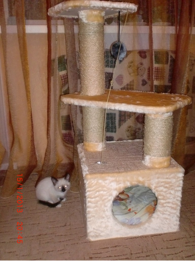 Домик для кошек  "Люкс" №036