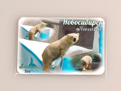 Гибкий сувенирный магнит на холодильник 8х6 см. с фото медвежонка из Новосибирского зоопарка