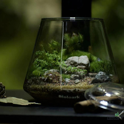 Чаша Пузырь Biolark Two (120мм х 105мм)