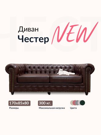 Диван Честер, 170х85х80 см, Темно-коричневый нр