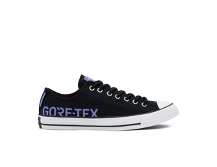 Converse gore tex low top sales