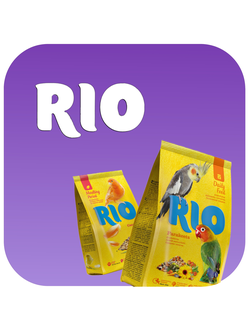 Rio (Рио)