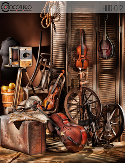 Фотофон виниловый «Скрипичный натюрморт»