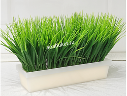 Трава в ящике. Искусственная Осока, блоки с травой