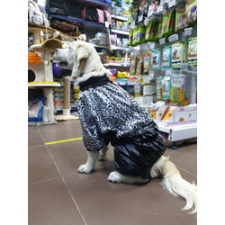ДОЖДЕВИК ЛЕО ЧЕРНЫЙ ДЛЯ ДЕВОЧЕК