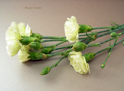 "Бутоны гвоздик" Силиконовый молд