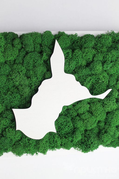 ЖИВАЯ ЭКО-КАРТИНА 1033