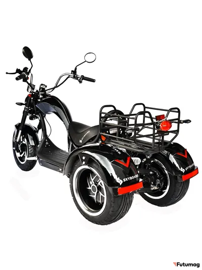 Citycoco Skyboard br Moto 2000w