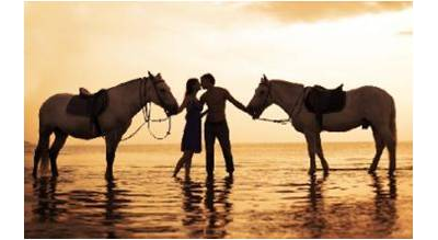 Предложение руки и сердца прогулка на лошадях