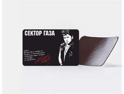 Магнит виниловый Сектор Газа, Юрий Хой №21
