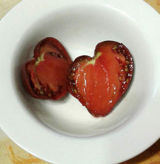 Семена томата Мятежный звездный истребитель  основной с носиком