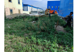 Общий вид до строительства парковки