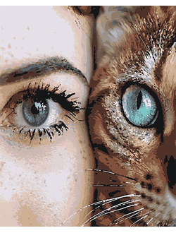 Картина по номерам КАКАДУ KA00192 Девушка и кошка