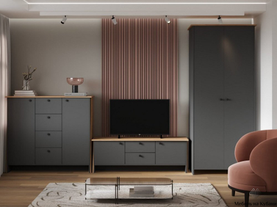 Теодора Тумба 2Д5Я ПВШ Графит/Дуб крафт